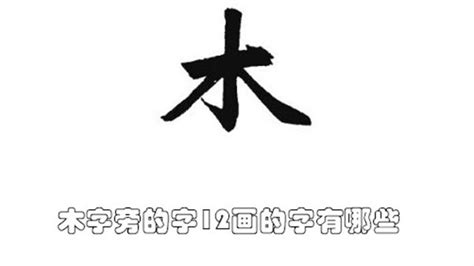 筆畫12的字|12画的字